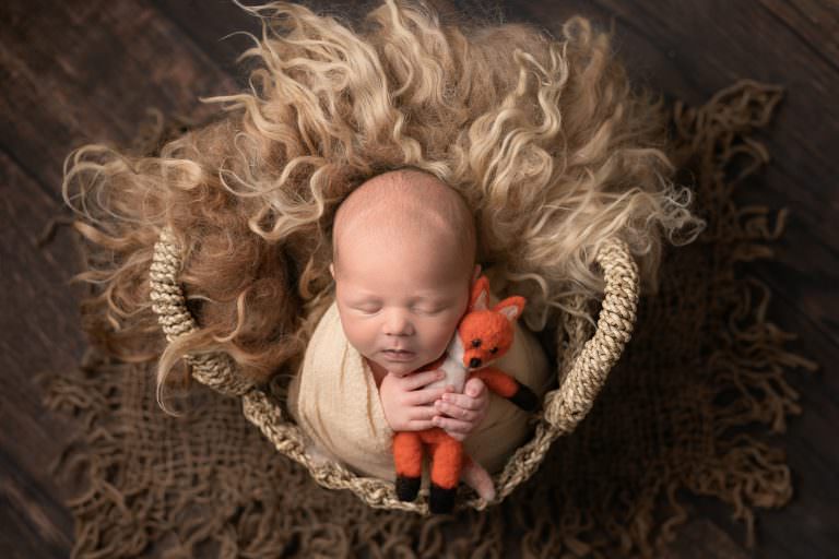 Baby wrapped in light brown wrap, in a wicker basket during newborn photography session in Glasgow. Baby is holding a fox toy against his cheek and is posed upright with his head leaning back against a long fur rug in natural tones